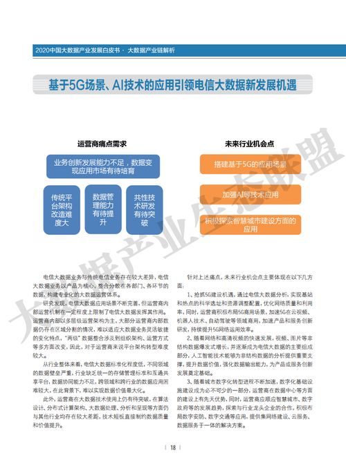 大數(shù)據(jù)產(chǎn)業(yè)生態(tài)聯(lián)盟2020中國(guó)大數(shù)據(jù)產(chǎn)業(yè)發(fā)展白皮書(shū) 大數(shù)據(jù)服務(wù)的崛起與變革
